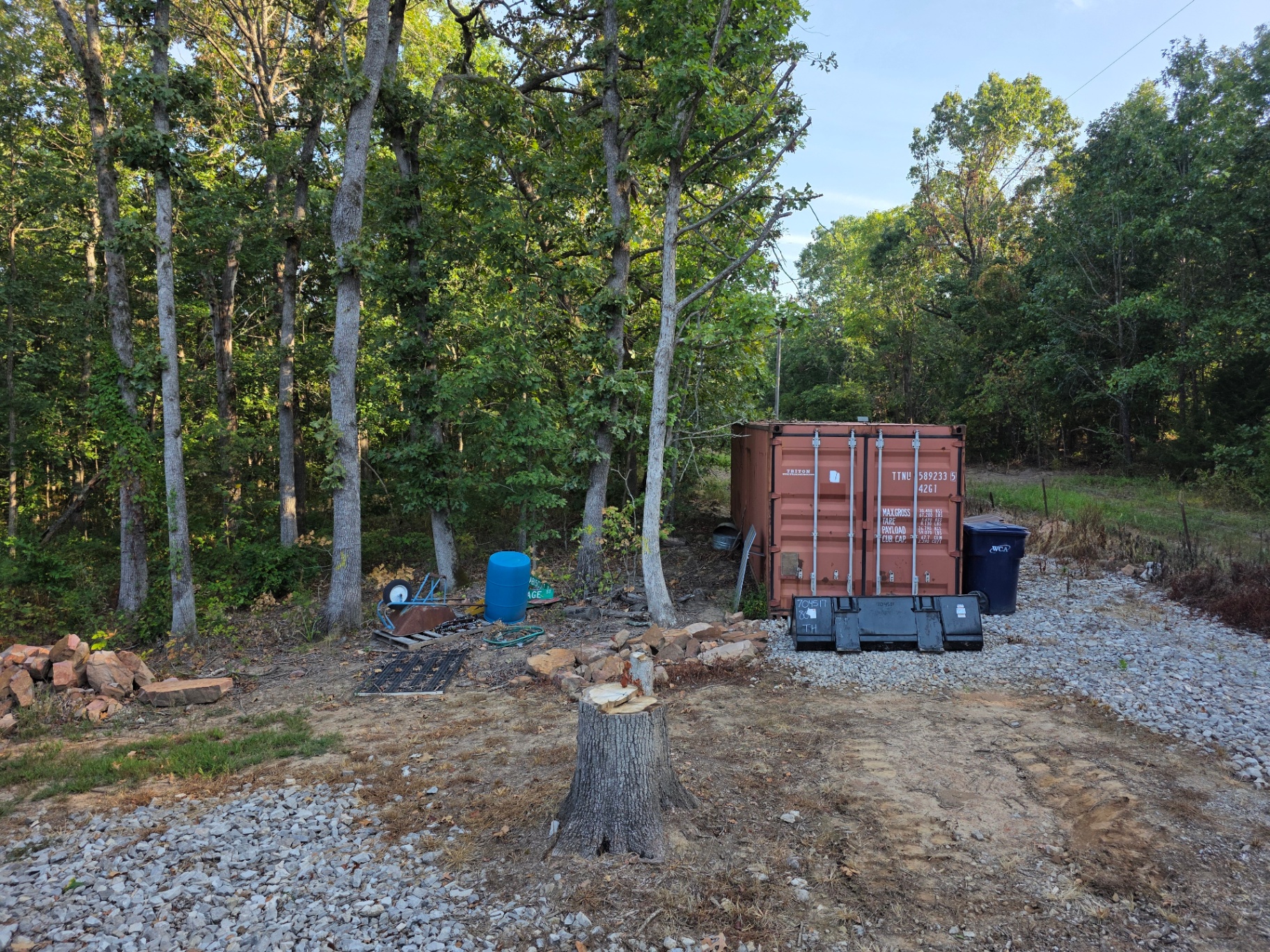 Forestry mulching job 1 — before: overgrown brush and thickets