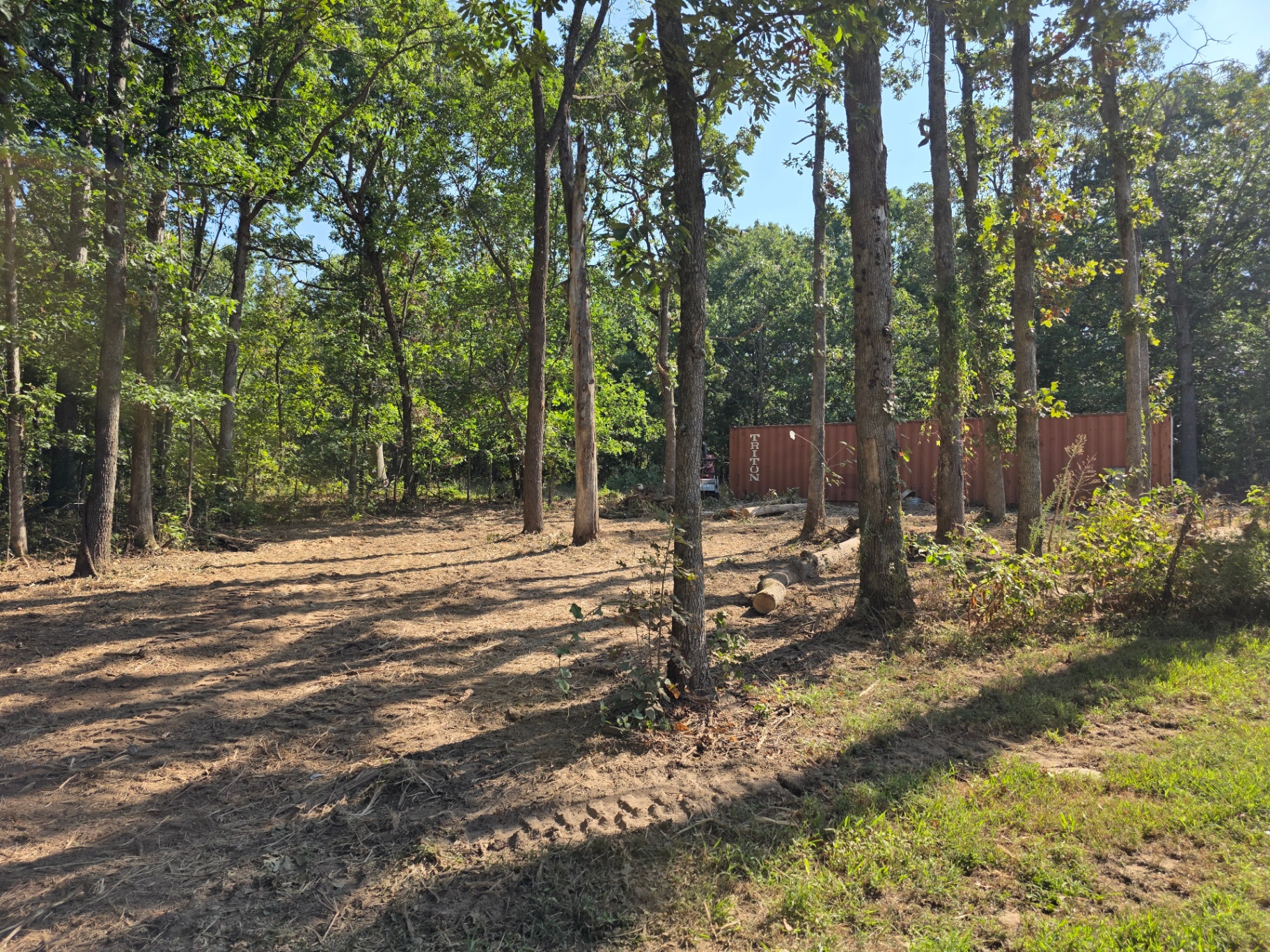 Forestry mulching job 2 — after: clean, mulched ground in one pass