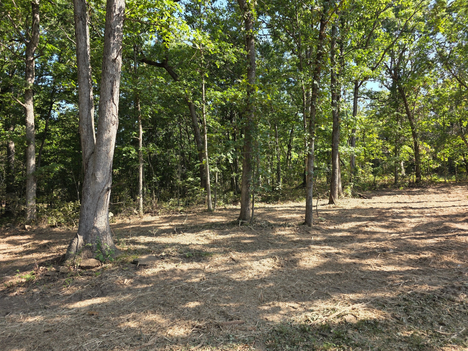 Forestry mulching job 3 — after: clean, mulched ground in one pass